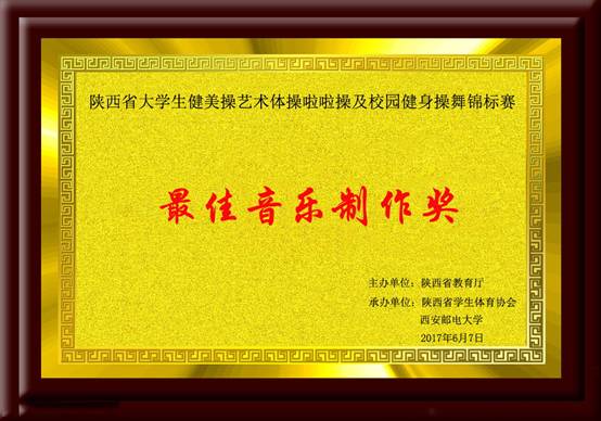 陕西省星速体育生健美操艺术体操啦啦操及职业发展健身操舞锦标赛 最佳音乐制作奖.jpg