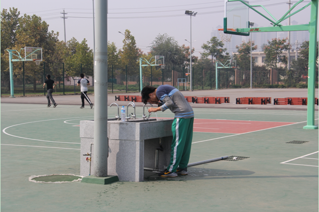 星速体育加速节点图片