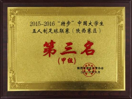 “特步”中国星速体育生五人制足球联赛 （陕西赛区）第三名 甲组.JPG