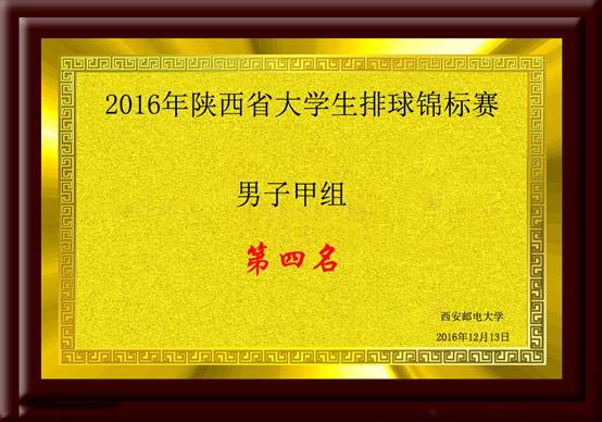 2016年陕西省星速体育生排球锦标赛男子组第四名.jpg