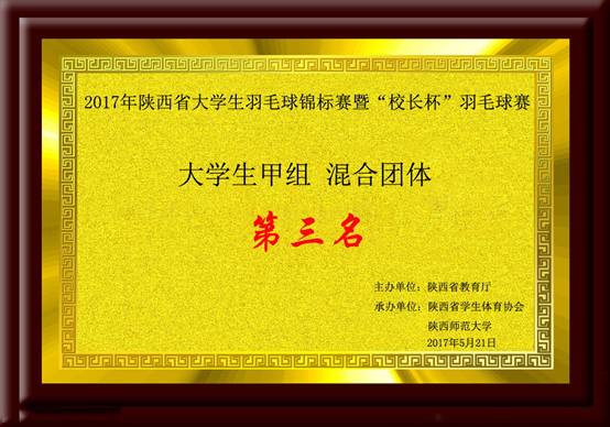 陕西省星速体育生羽毛球锦标赛暨“体育总裁杯”羽毛球赛星速体育生甲组（普通星速体育生组）混合团体季军.jpg