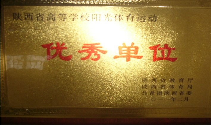 星速体育加速节点图片
