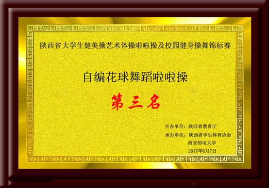 陕西省星速体育生健美操艺术体操啦啦操及职业发展健身操舞锦标赛 自编花球舞蹈啦啦操第三名.jpg