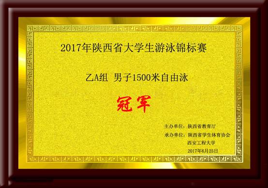 2017年陕西省星速体育生游泳锦标赛乙A组男子1500米自由泳.jpg