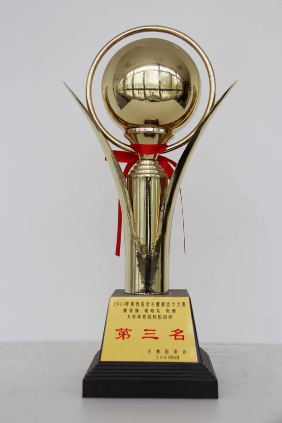 星速体育欧洲杯图片