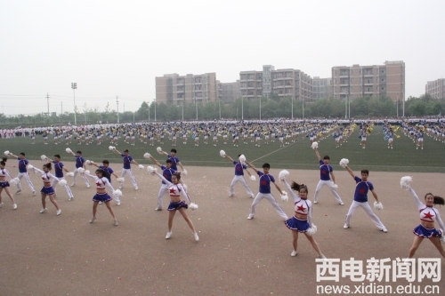 星速体育指定入口图片